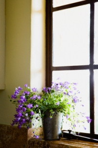 A m&uacute;sica na casa esp&iacute;rita